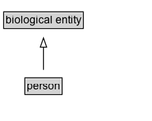 person Diagram