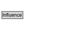 Influence Diagram