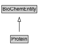 Protein Diagram