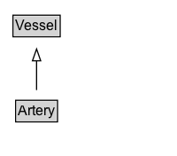 Artery Diagram