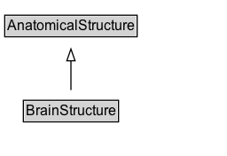 BrainStructure Diagram