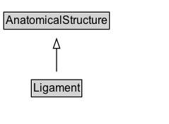 Ligament Diagram