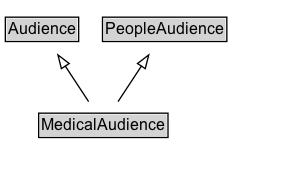 MedicalAudience Diagram